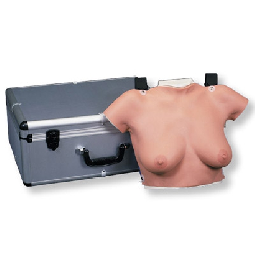 BREAST MODELS, Wearable Breast Self Examination Model