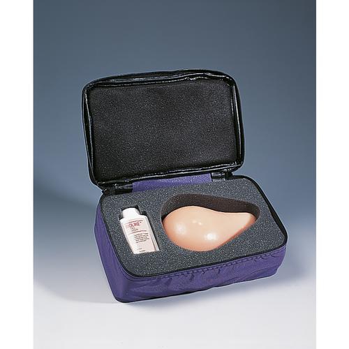 003Standard Breast Self Examination Model, Beige