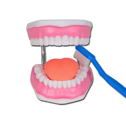 MUTES DOBUMA HIGIĒNAS MODELIS - 3X