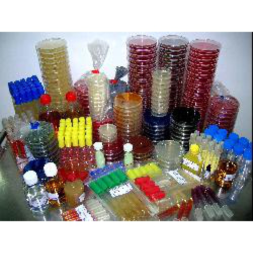 GATAVĀS KULTŪRBAROTNES